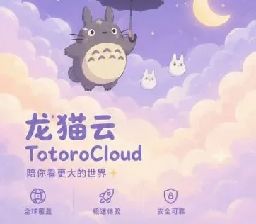 龙猫云标识,套餐与流量估算用图